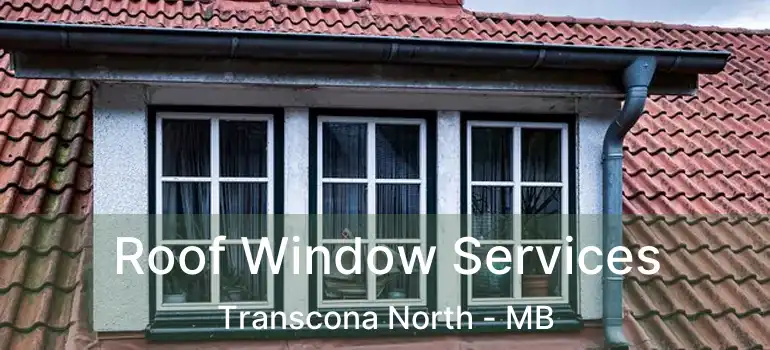  Roof Window Services Transcona North - MB