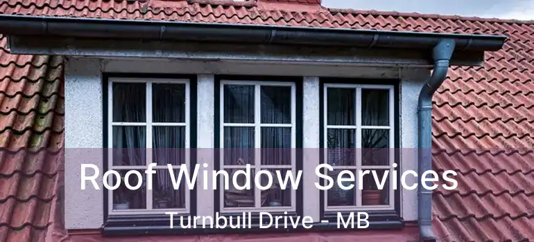  Roof Window Services Turnbull Drive - MB