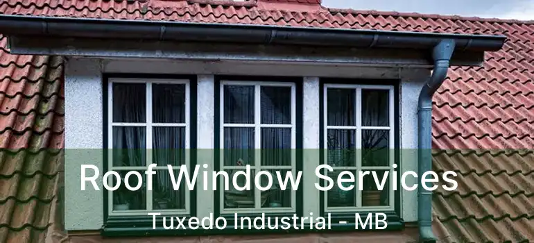  Roof Window Services Tuxedo Industrial - MB