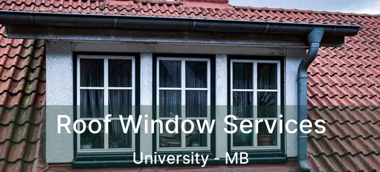 Roof Window Services University - MB