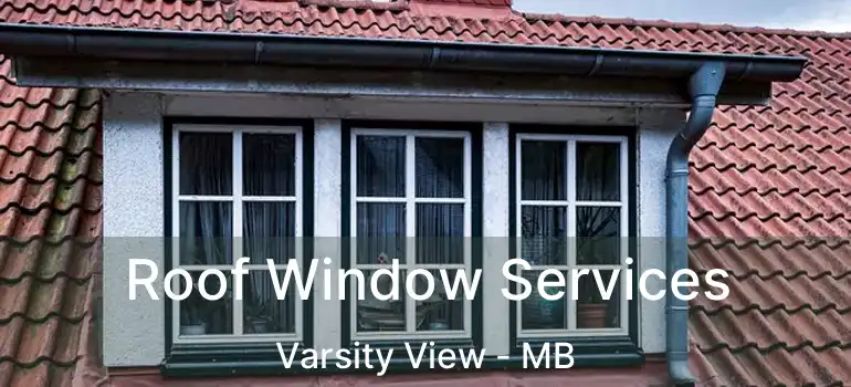  Roof Window Services Varsity View - MB