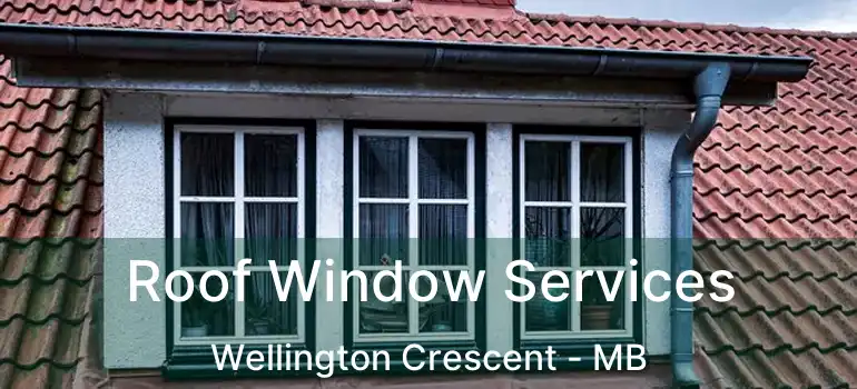  Roof Window Services Wellington Crescent - MB