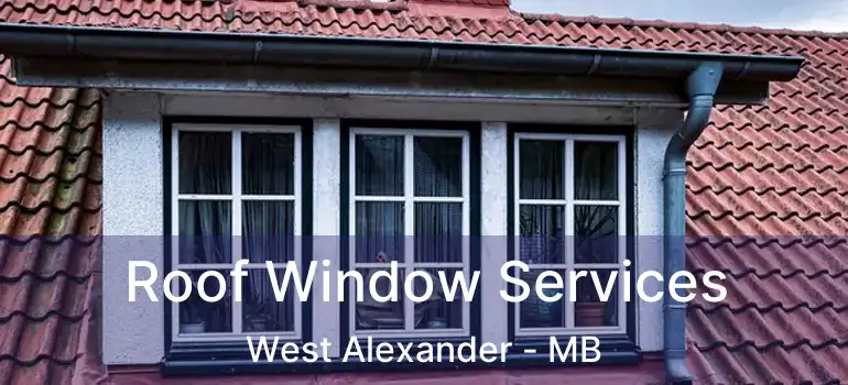  Roof Window Services West Alexander - MB