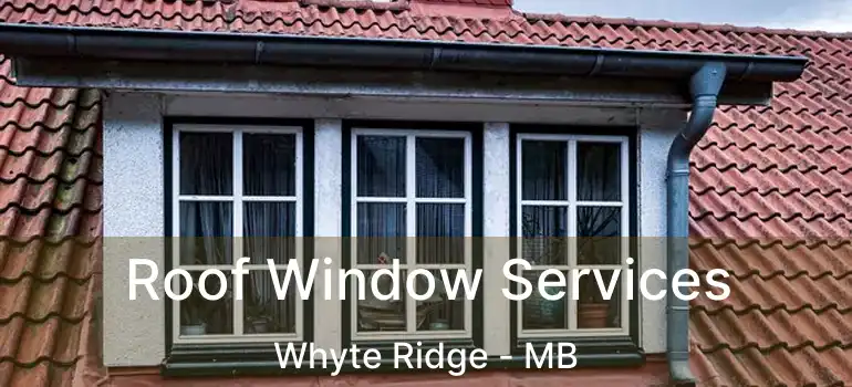  Roof Window Services Whyte Ridge - MB