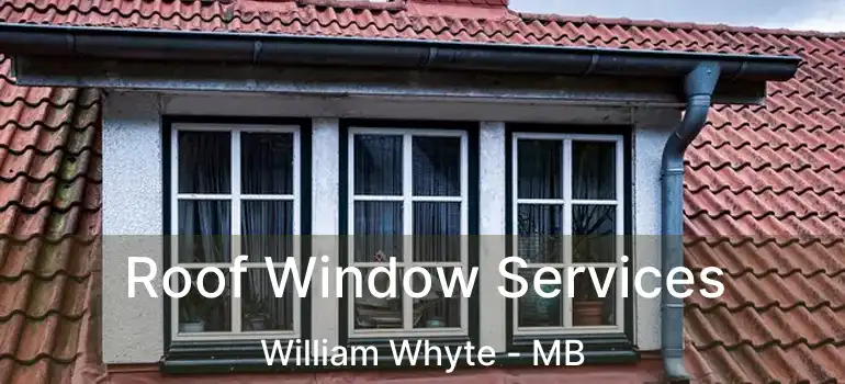  Roof Window Services William Whyte - MB