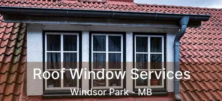 Roof Window Services Windsor Park - MB