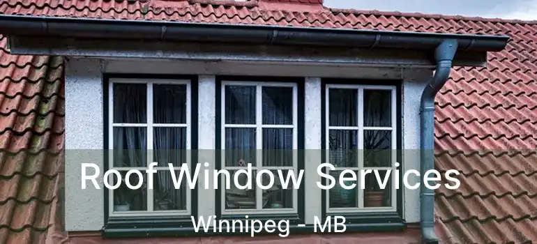  Roof Window Services Winnipeg - MB