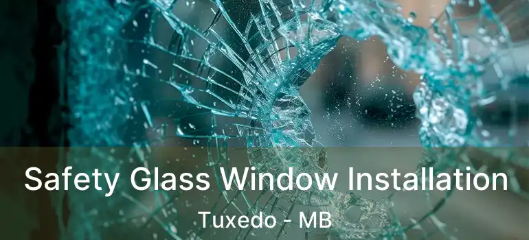 Safety Glass Window Installation Tuxedo - MB
