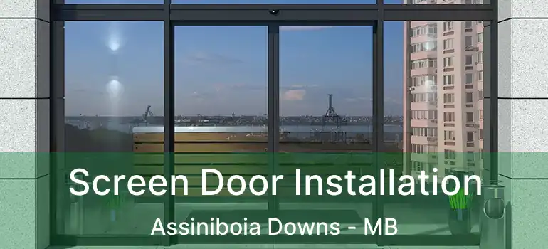  Screen Door Installation Assiniboia Downs - MB