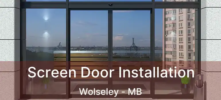  Screen Door Installation Wolseley - MB