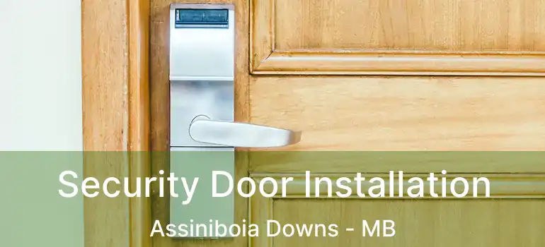  Security Door Installation Assiniboia Downs - MB