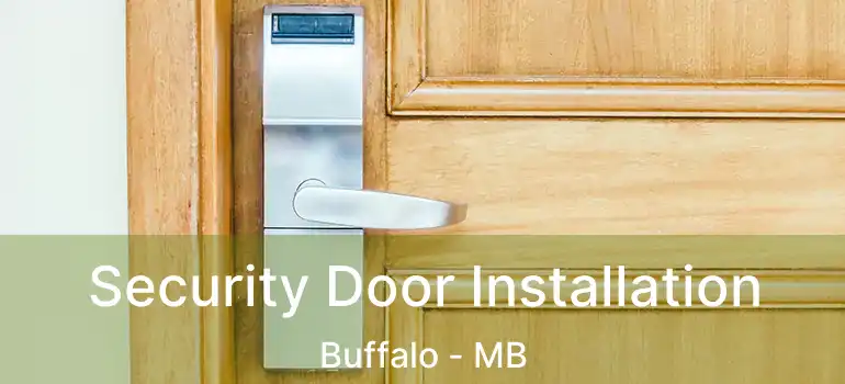  Security Door Installation Buffalo - MB