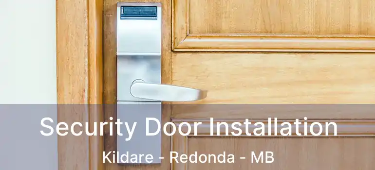  Security Door Installation Kildare - Redonda - MB