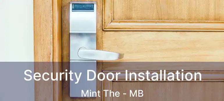  Security Door Installation Mint The - MB