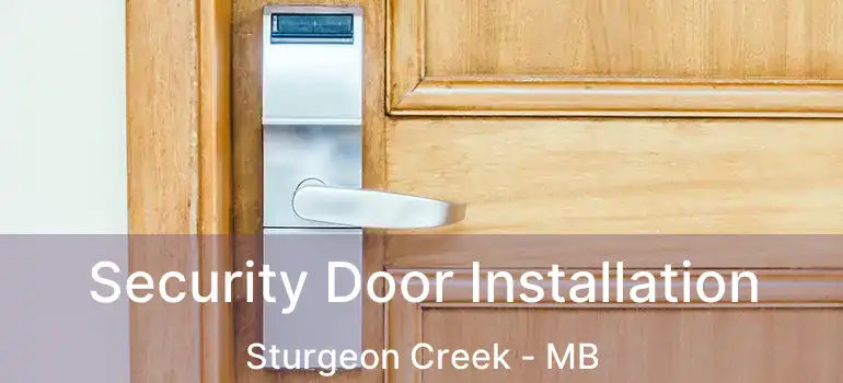  Security Door Installation Sturgeon Creek - MB