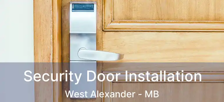  Security Door Installation West Alexander - MB