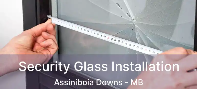  Security Glass Installation Assiniboia Downs - MB
