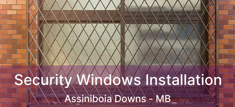  Security Windows Installation Assiniboia Downs - MB