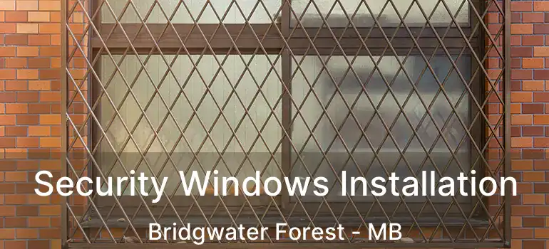  Security Windows Installation Bridgwater Forest - MB