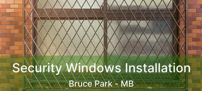  Security Windows Installation Bruce Park - MB