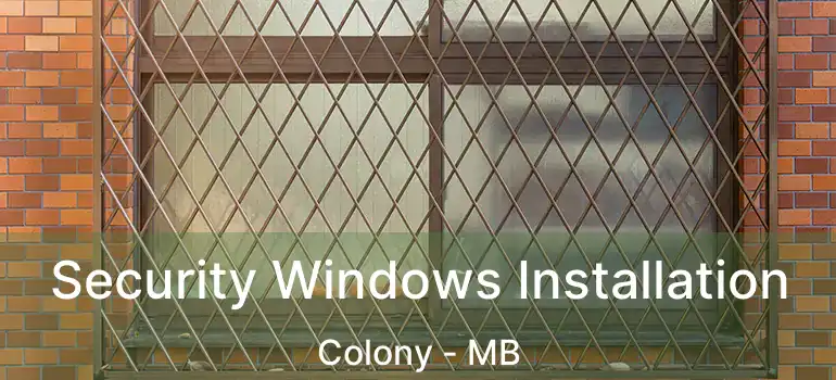 Security Windows Installation Colony - MB