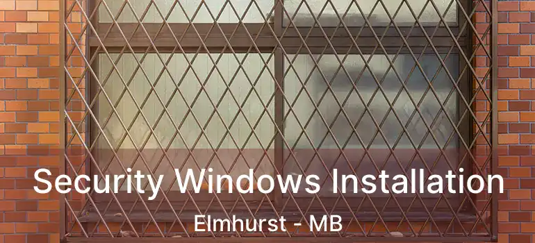  Security Windows Installation Elmhurst - MB