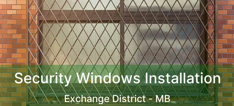 Security Windows Installation Exchange District - MB