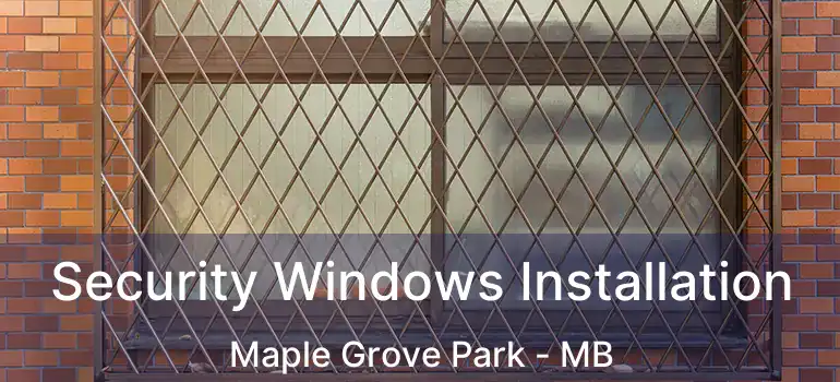  Security Windows Installation Maple Grove Park - MB