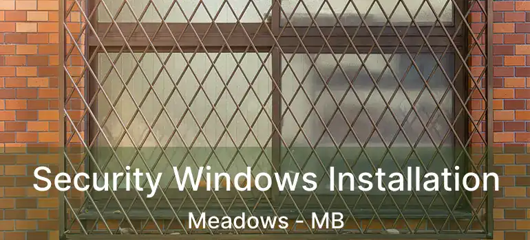  Security Windows Installation Meadows - MB