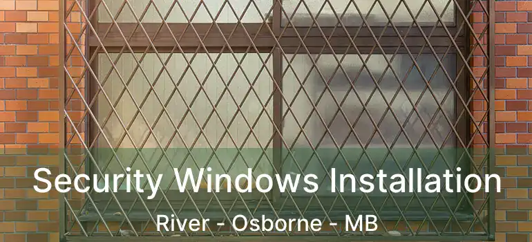  Security Windows Installation River - Osborne - MB