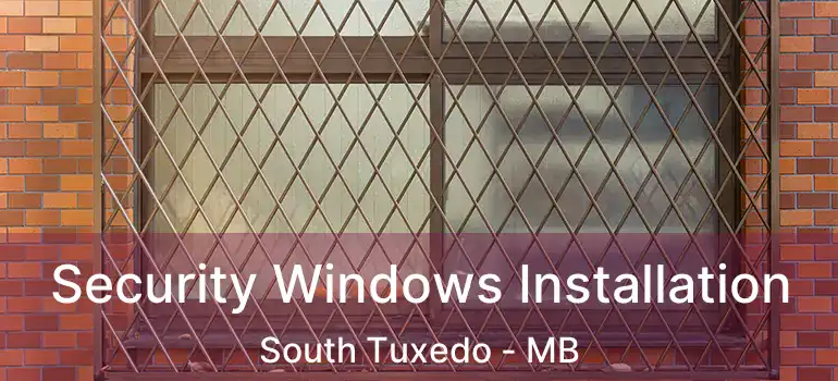  Security Windows Installation South Tuxedo - MB