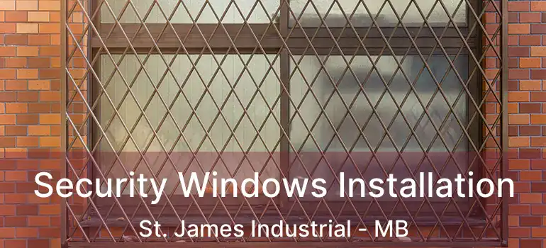  Security Windows Installation St. James Industrial - MB