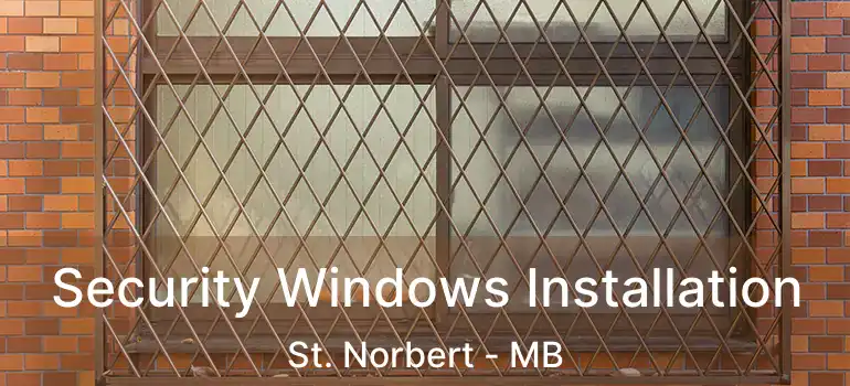  Security Windows Installation St. Norbert - MB