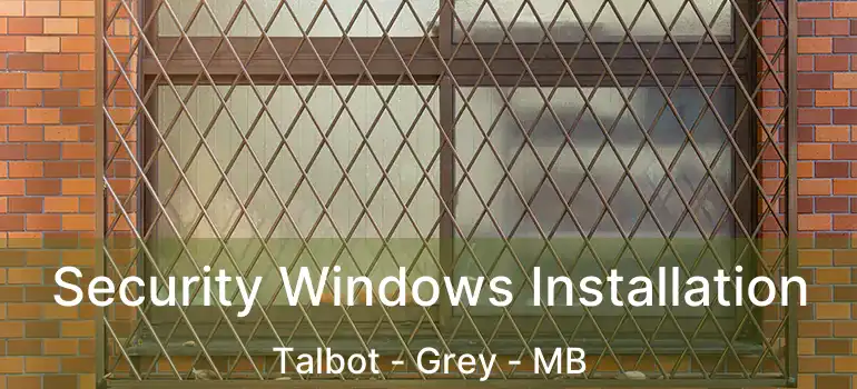  Security Windows Installation Talbot - Grey - MB