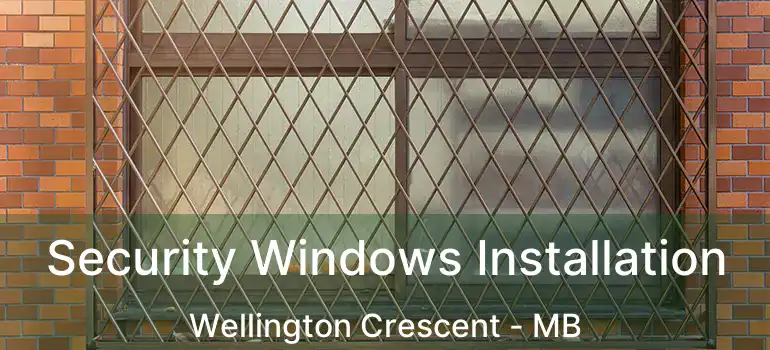  Security Windows Installation Wellington Crescent - MB