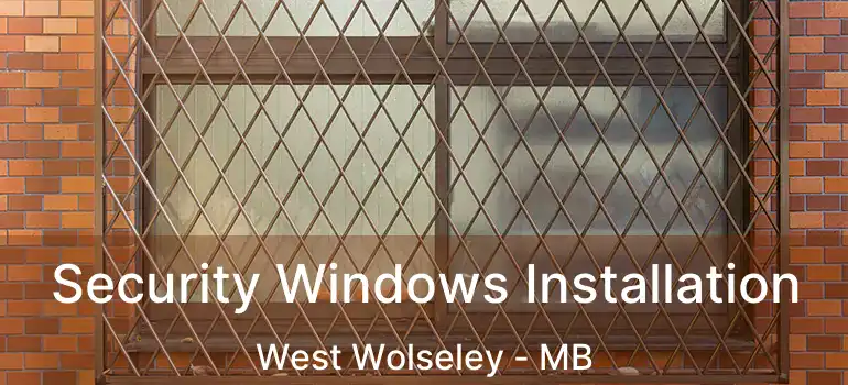  Security Windows Installation West Wolseley - MB