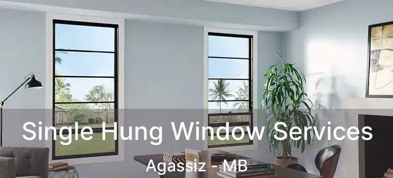  Single Hung Window Services Agassiz - MB