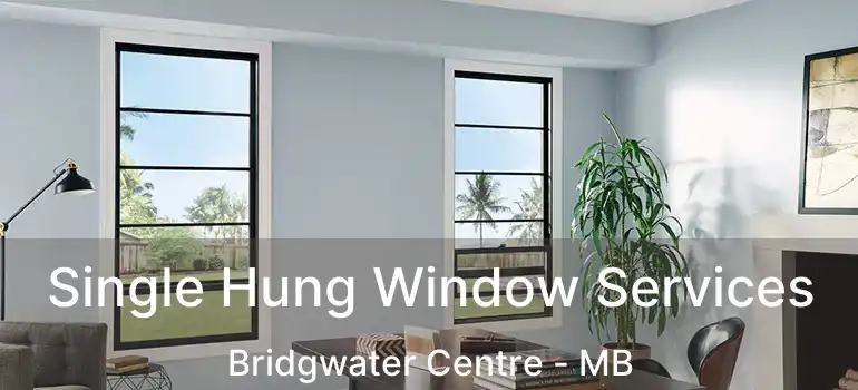  Single Hung Window Services Bridgwater Centre - MB