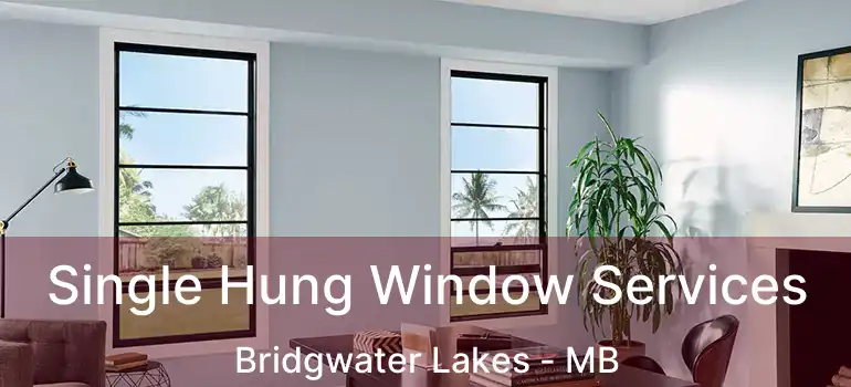  Single Hung Window Services Bridgwater Lakes - MB