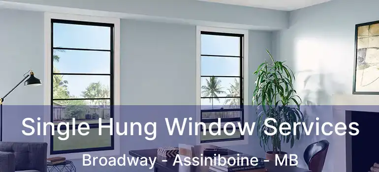  Single Hung Window Services Broadway - Assiniboine - MB