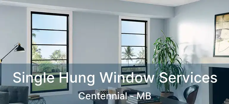  Single Hung Window Services Centennial - MB