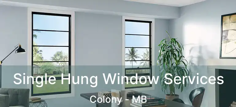  Single Hung Window Services Colony - MB