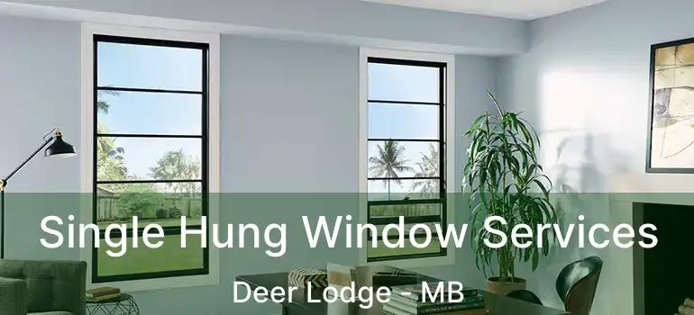  Single Hung Window Services Deer Lodge - MB