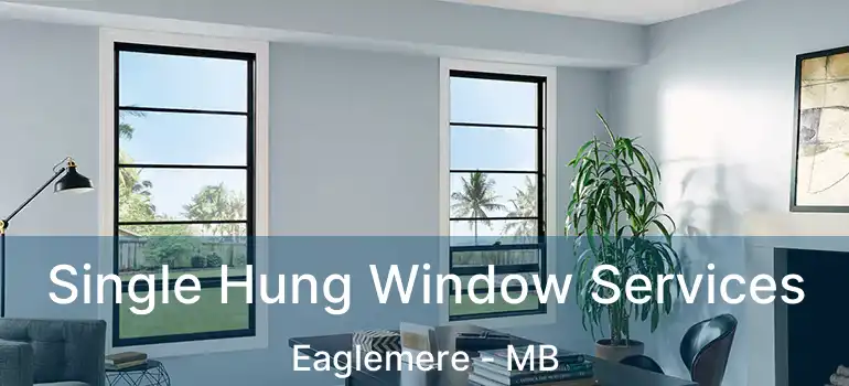  Single Hung Window Services Eaglemere - MB