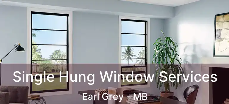  Single Hung Window Services Earl Grey - MB