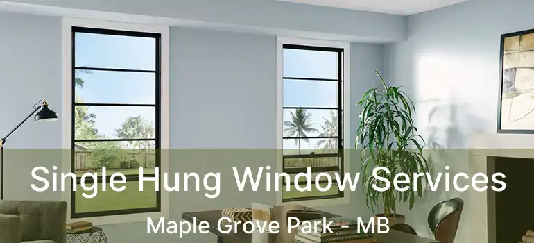  Single Hung Window Services Maple Grove Park - MB