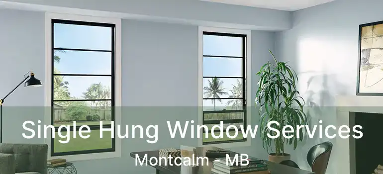  Single Hung Window Services Montcalm - MB