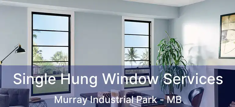  Single Hung Window Services Murray Industrial Park - MB