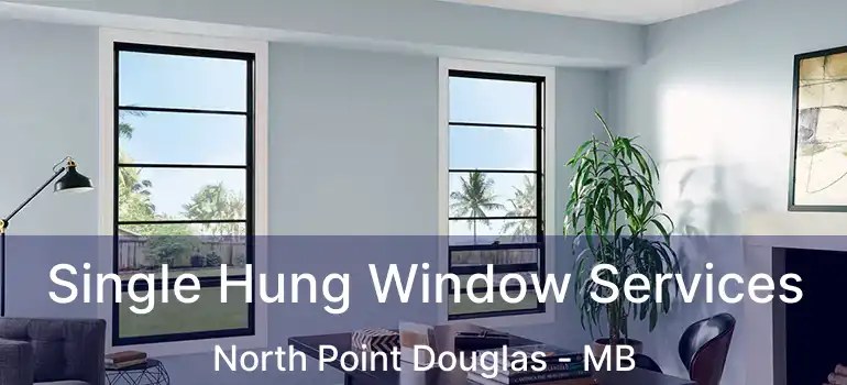  Single Hung Window Services North Point Douglas - MB