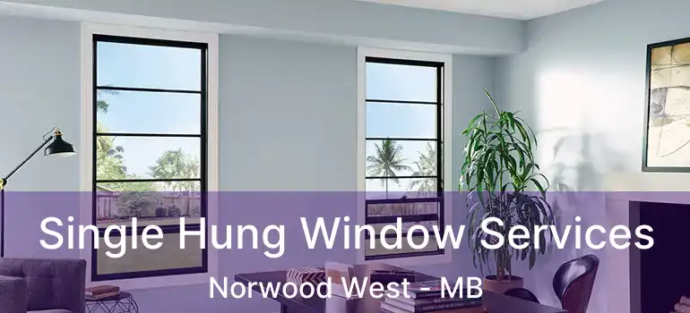  Single Hung Window Services Norwood West - MB